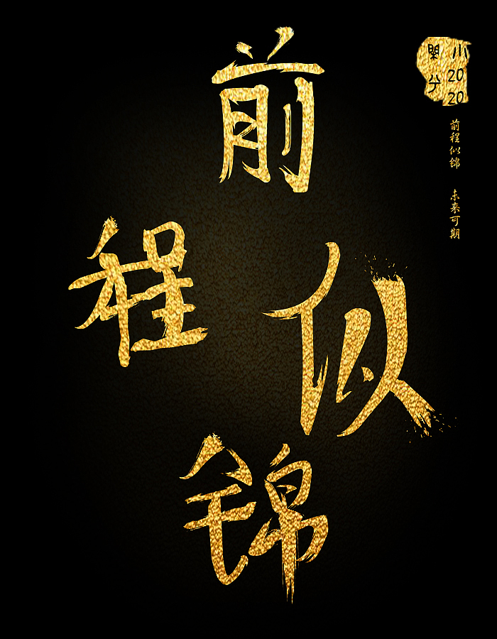 前程似锦未来可期