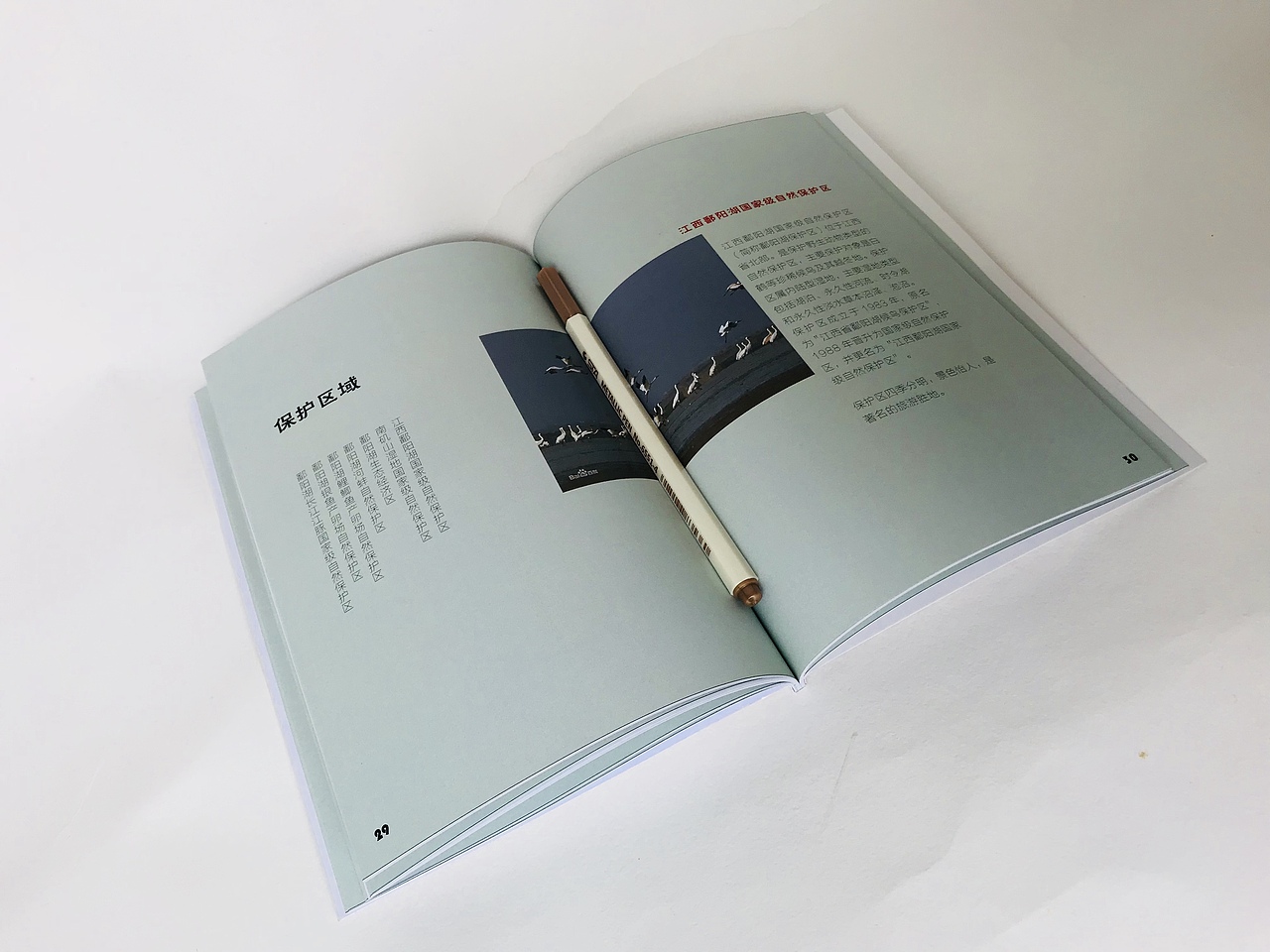 湖中游记l鄱阳湖简介书籍创作