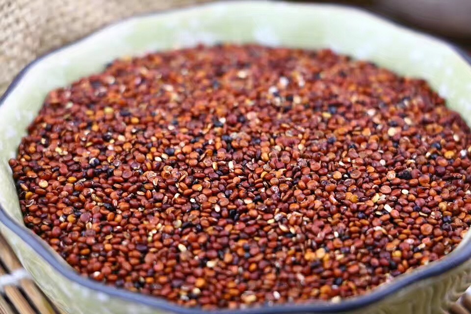 青藏青藜 - 藜麦