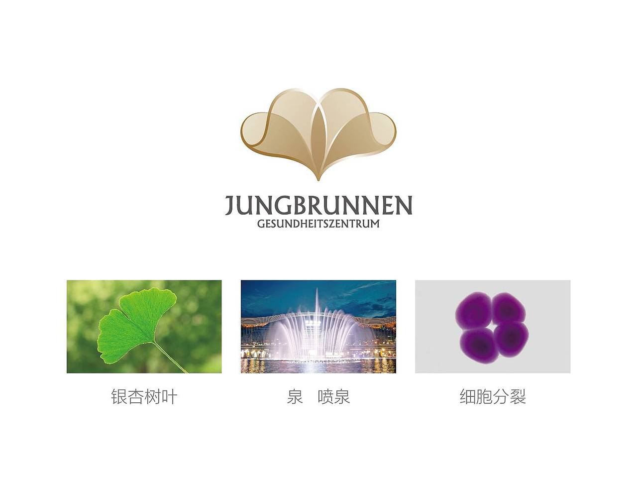 成都肿瘤医院VI设计/LOGO设计/医疗行业品牌设计案例