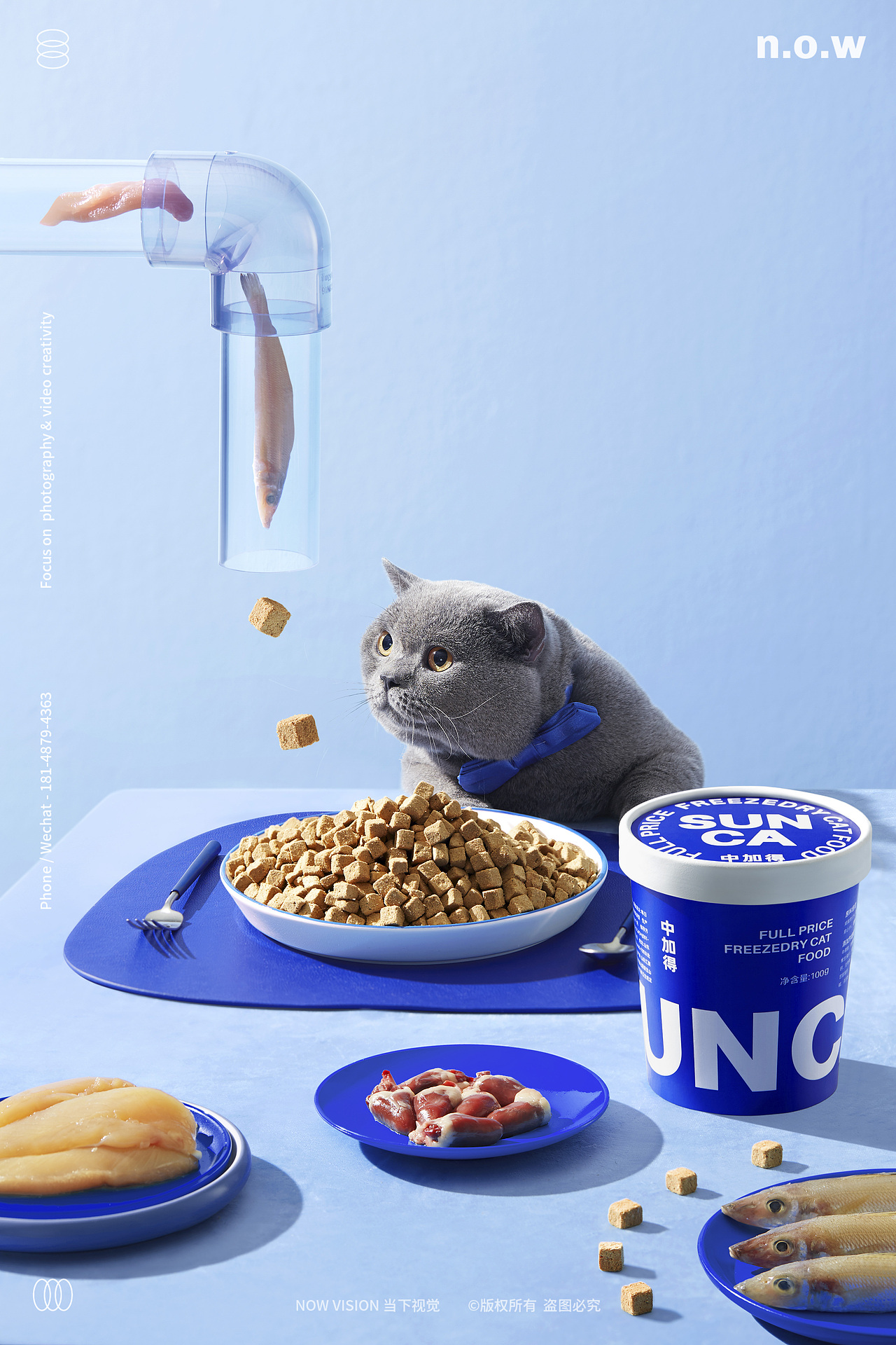 宠物用品|中加得 X 当下视觉