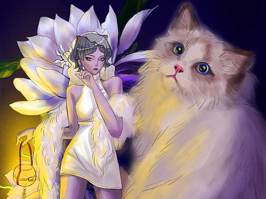 宠物 猫系列之布偶猫（个人主页-ZNDY2NTAwOTY=） - 创作习作 - 站酷设计师Sally熙原创素材 - 站酷ZCOOL