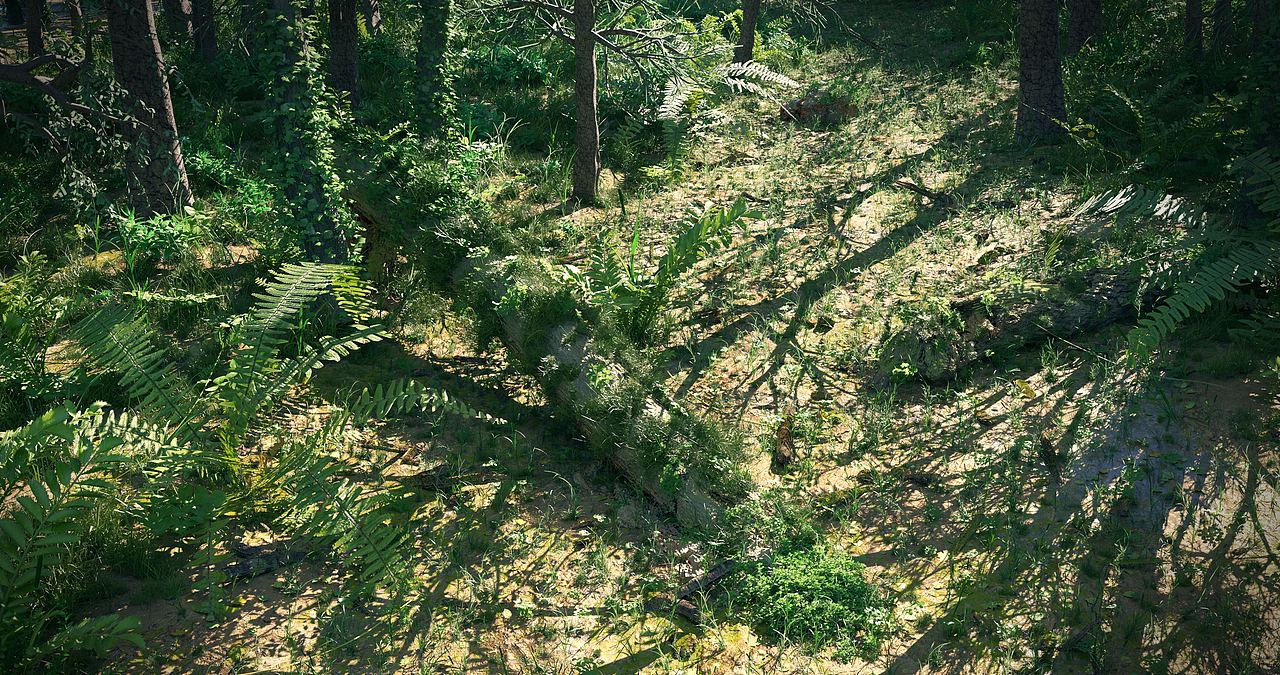 C4D 写实森林OC渲染（图ZMTIxNTQ4NDQ4） - 场景 - 站酷设计师Rucker_点原视觉原创素材 - 站酷ZCOOL