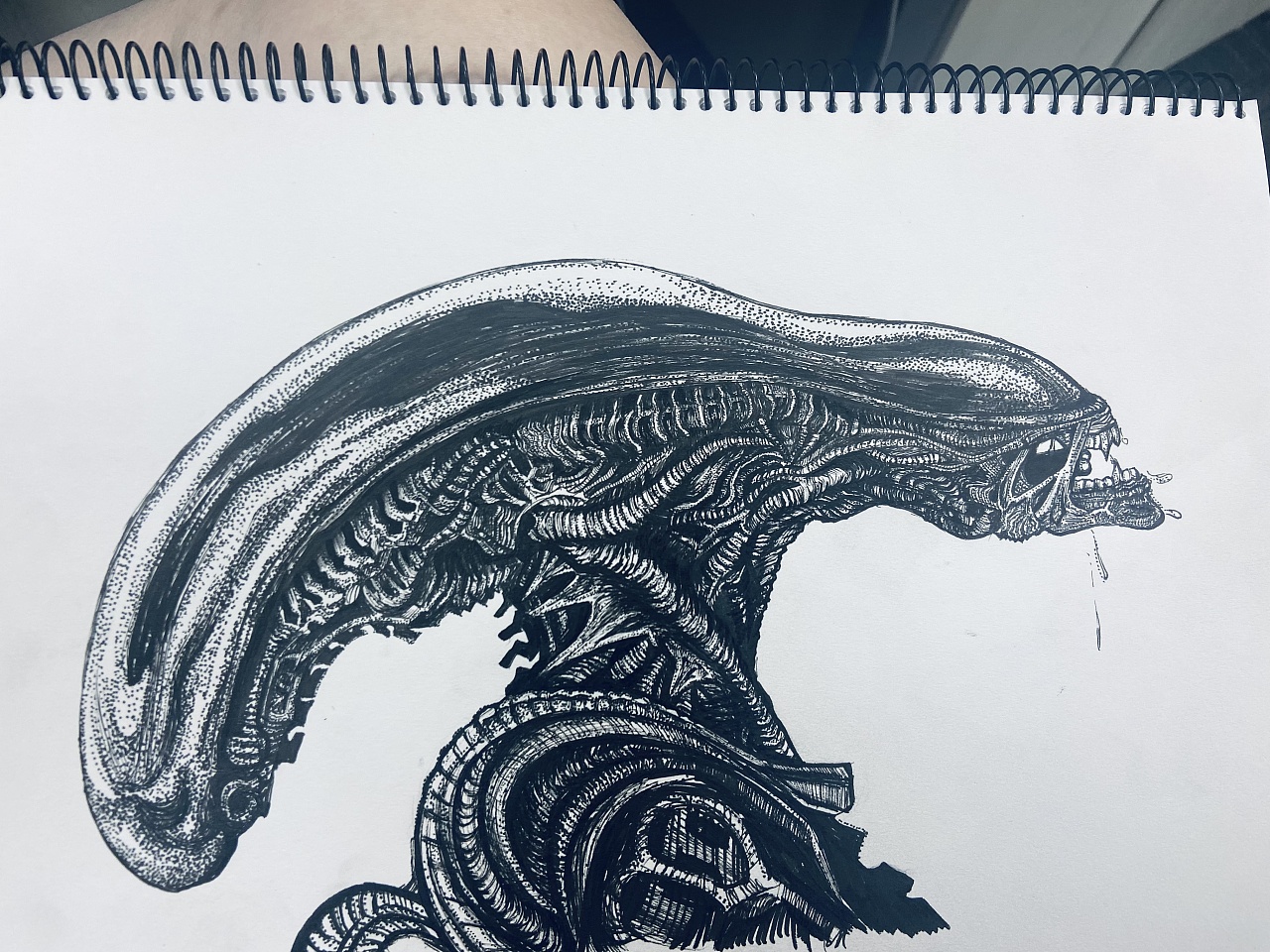 异形-alien|插画|绘本|毛毛毛毛子 - 原创作品 - 站酷 (zcool)