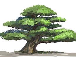 波普