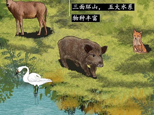 张张五月的作品