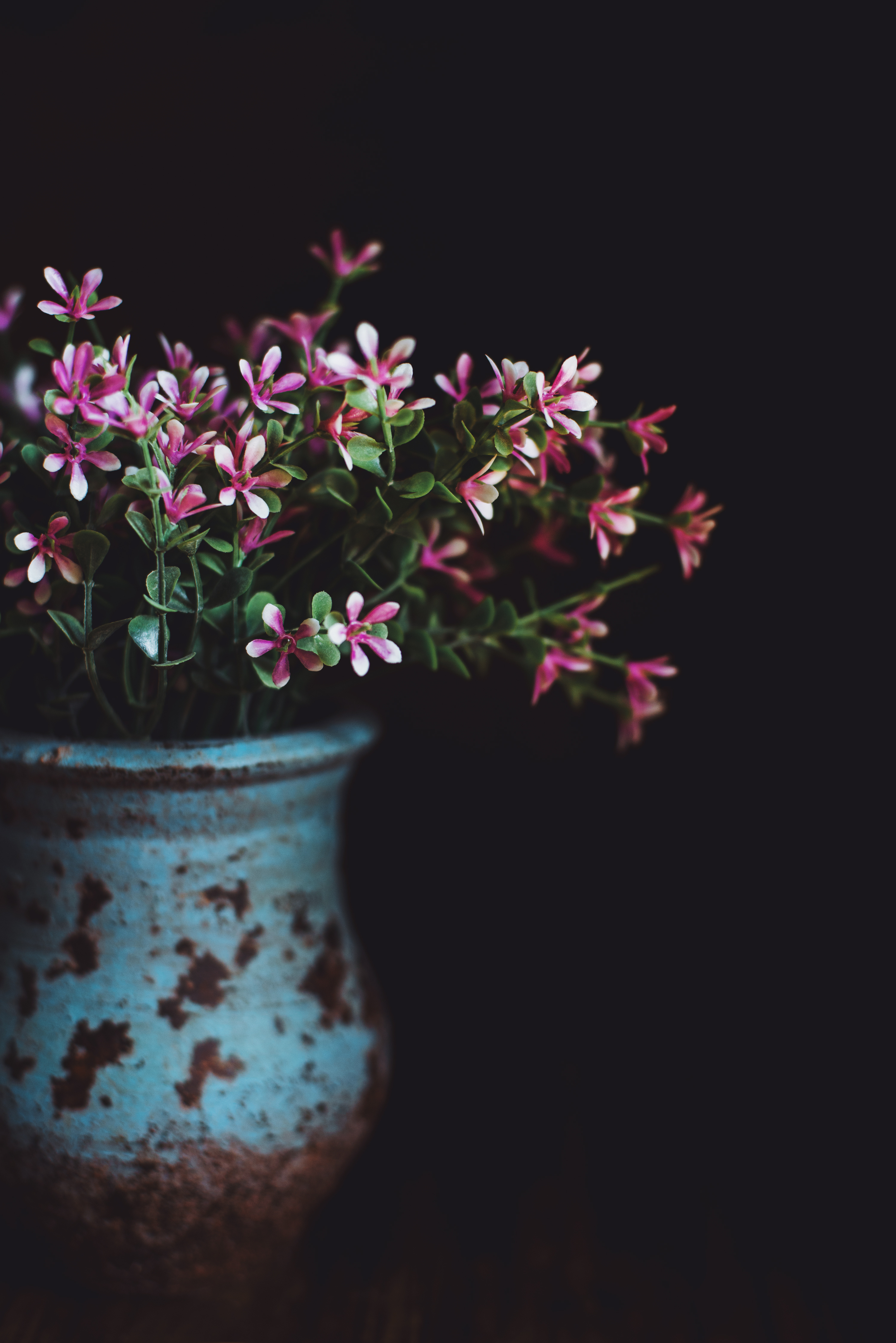 静物拍摄 | 暗花