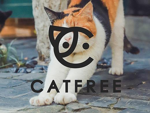 「CatFree」宠物培训品牌 · 除了自由，什么都不给它
