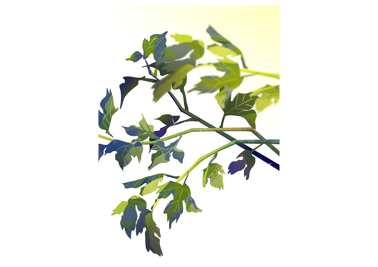 夏天來游泳吧~（圖ZMjE1NTQzOTYw） - 商業(yè)插畫 - 站酷設(shè)計(jì)師頑石仙人原創(chuàng)素材 - 站酷ZCOOL