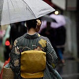 是森林迷了鹿的头像