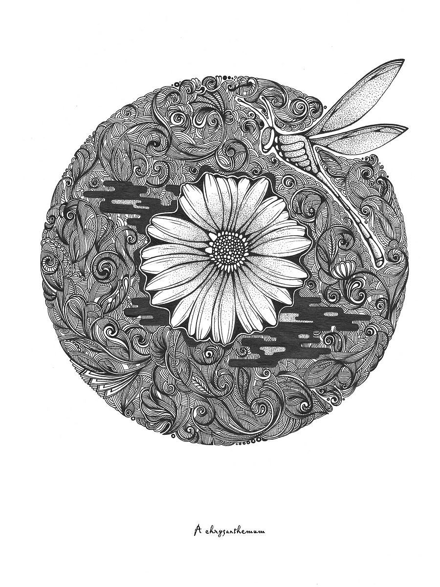 净花缘（图ZNjY0ODk5Mg==） - 商业插画 - 站酷设计师戊辰纹画原创素材 - 站酷ZCOOL