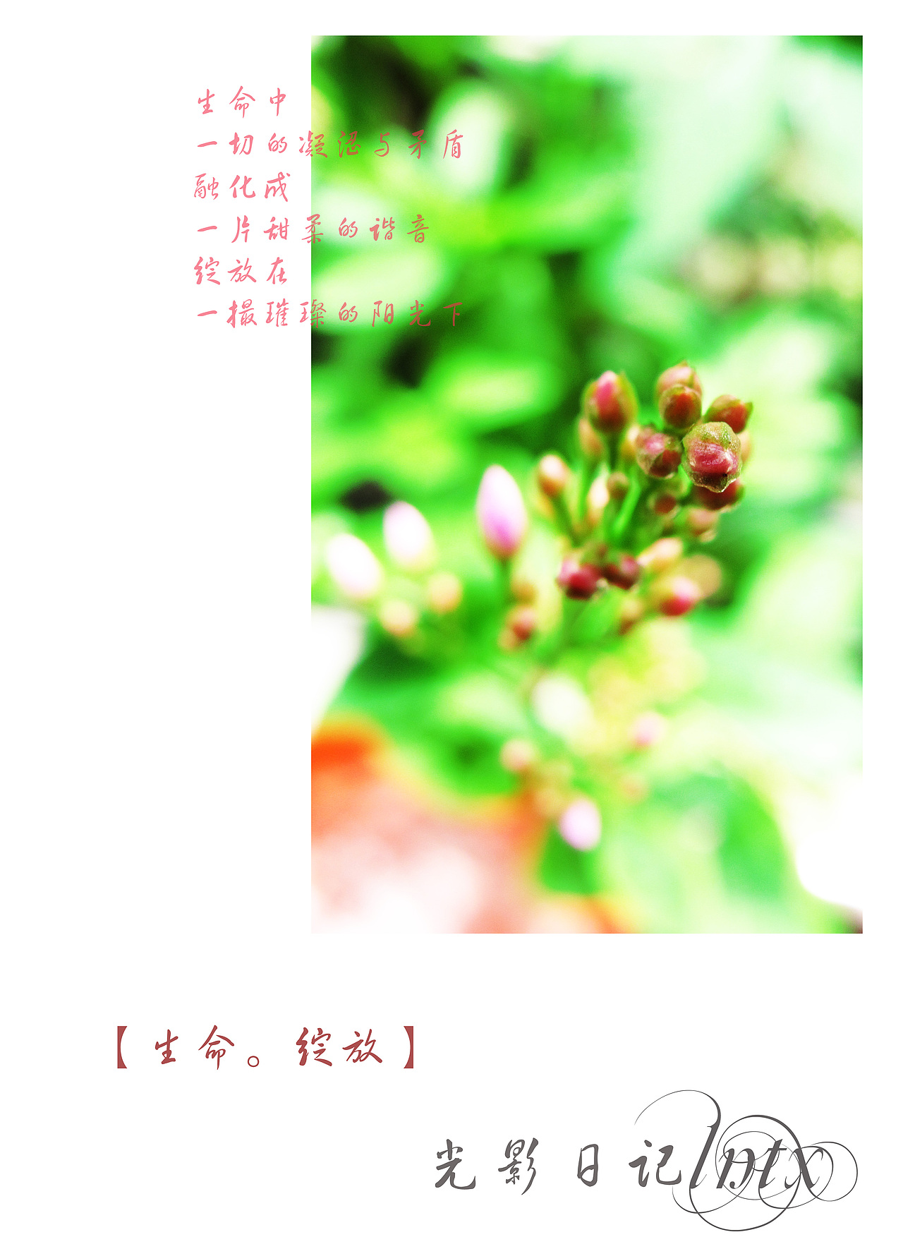 光影-1（图ZMTY3NDY0） - 其他摄影 - 站酷设计师lntx原创素材 - 站酷ZCOOL