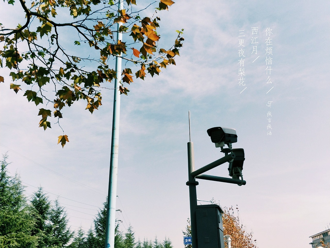 刘浪摄影作品《路灯之影》