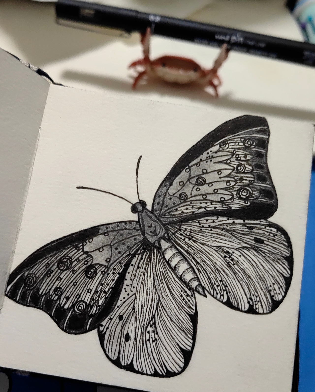 蝶（图ZMzcyNzk3MDIw） - 绘画 - 站酷设计师夏荷夏了夏天原创素材 - 站酷ZCOOL