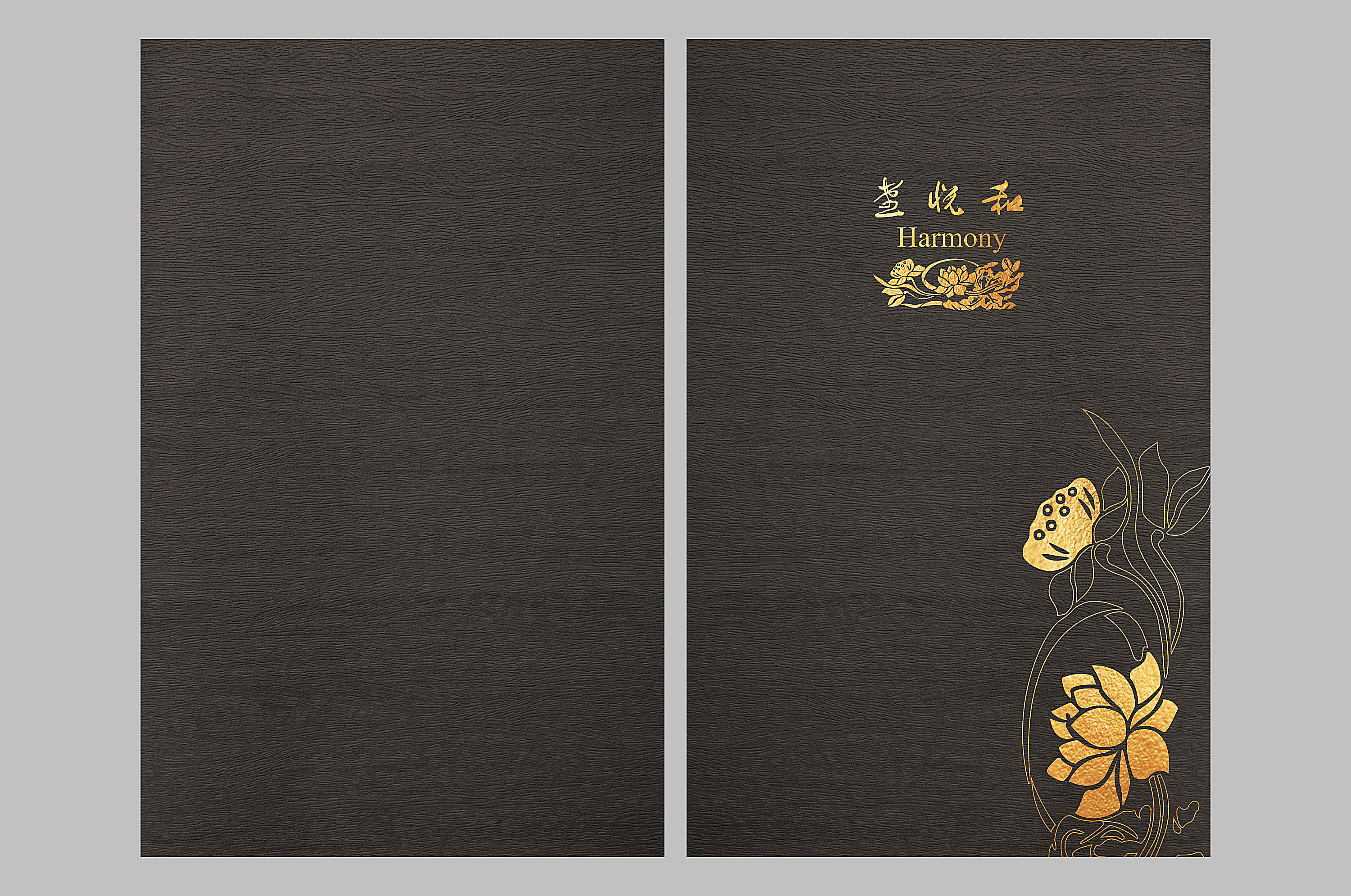 云南菜谱摄影|首选捷达菜谱设计公司