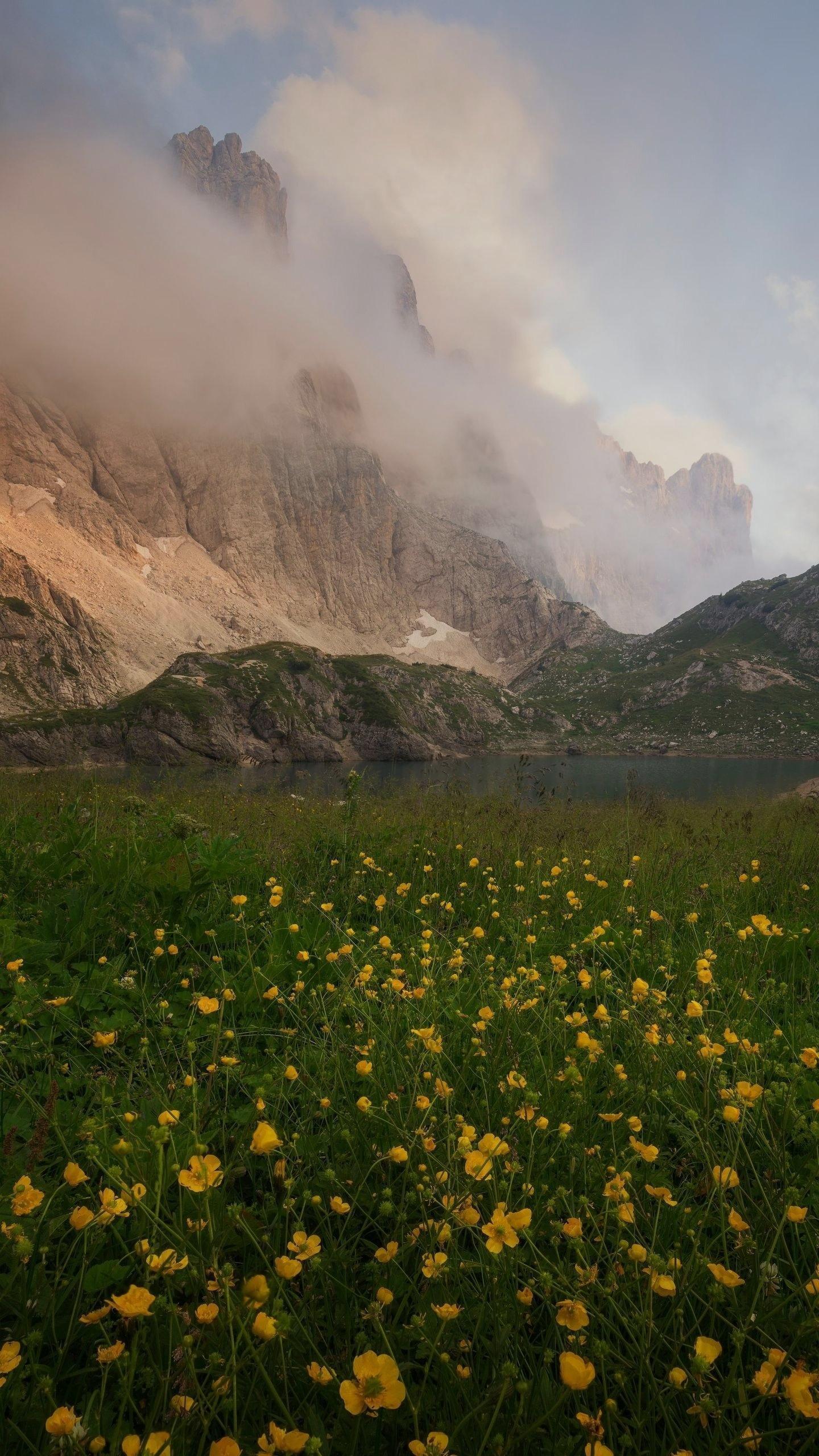 若見橋北的個人主頁（封面預(yù)覽） - 主頁封面設(shè)置 - 站酷設(shè)計師若見橋北原創(chuàng)素材 - 站酷ZCOOL