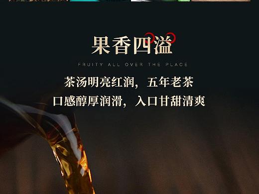 陈皮普洱茶详情