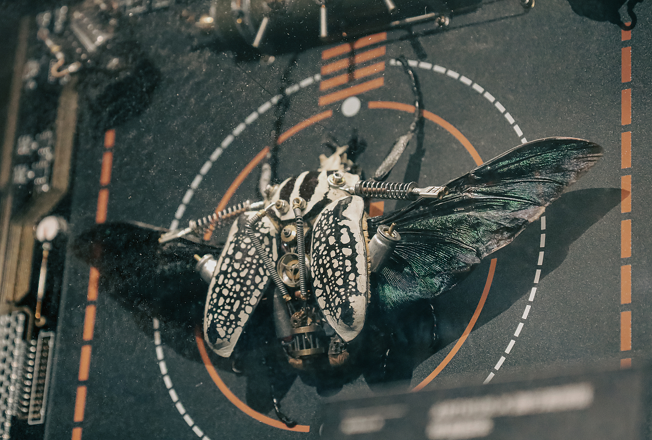 2022杭州博览中心Usee潮流艺术设计展（图ZMzEyNjQwMTcy） - 其他摄影 - 站酷设计师尼罗河泥鳅原创素材 - 站酷ZCOOL