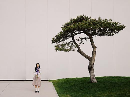 放·青·松