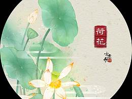 如梦令/荷花
