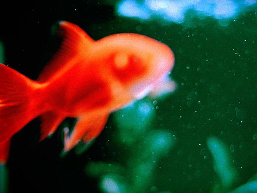 20200123（个人主页-ZNDIzODEwMjg=） - 短片 - 站酷设计师LiangjieLi原创素材 - 站酷ZCOOL