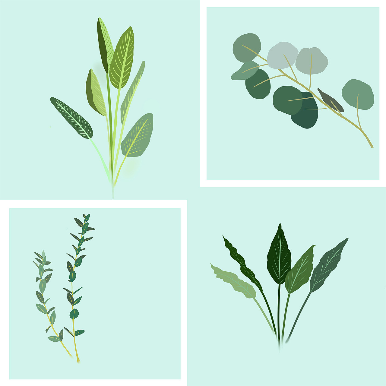 ins風植物扁平風練習（圖ZMjAyMzc5OTIw） - 創(chuàng)作習作 - 站酷設計師烏龍西柚子原創(chuàng)素材 - 站酷ZCOOL