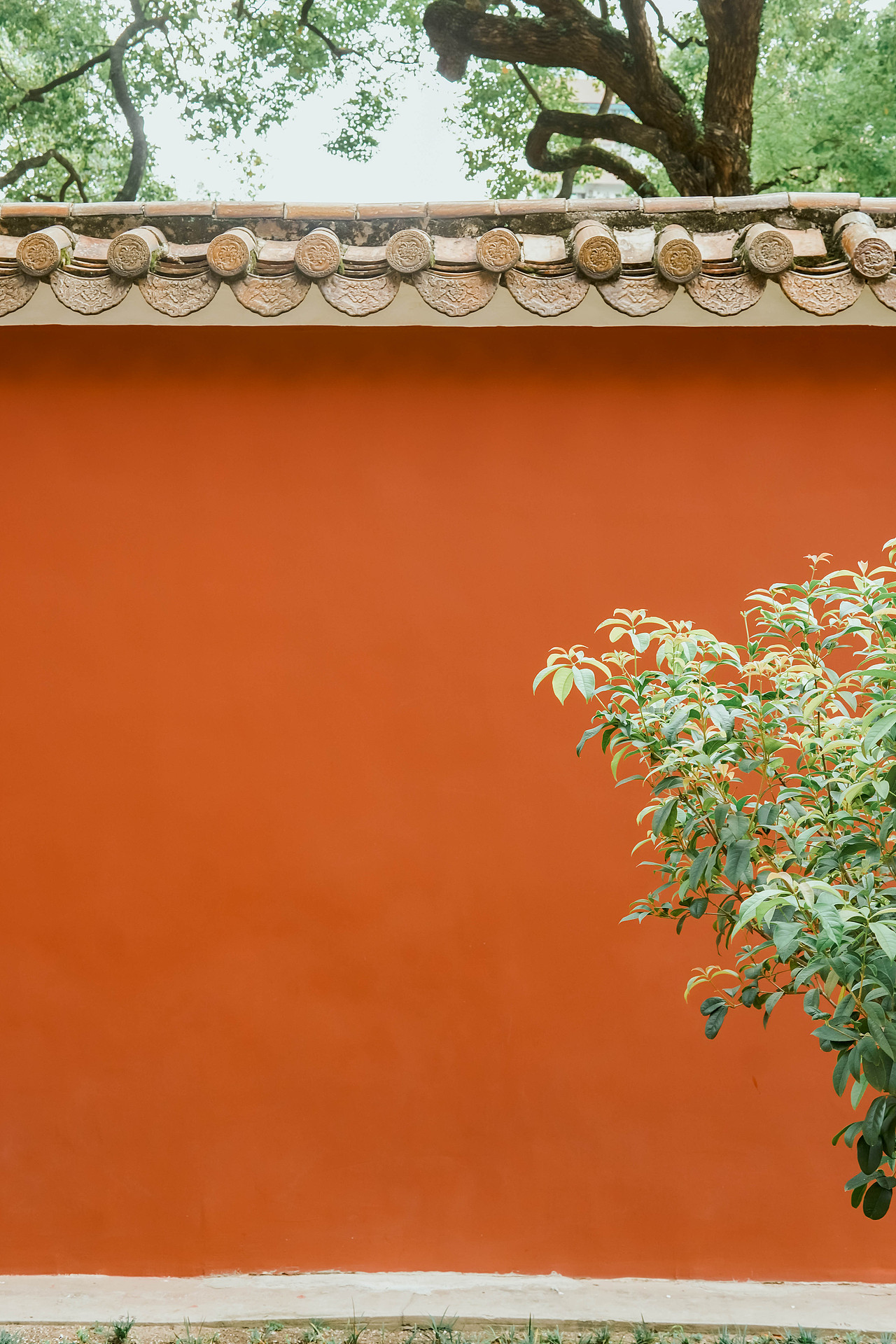 广州农讲所「明孔庙/清学宫」朱墙黄瓦（图ZMjY5MTUyMDQ4） - 环境/建筑摄影 - 站酷设计师北纬91度原创素材 - 站酷ZCOOL