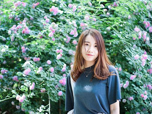 2018年5月份北京的蔷薇花和少女花花。