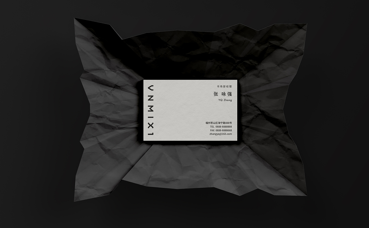 VNMIX1｜未知因素品牌设计