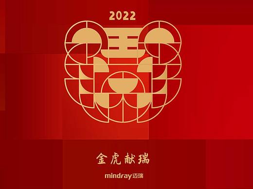 迈瑞新年视频