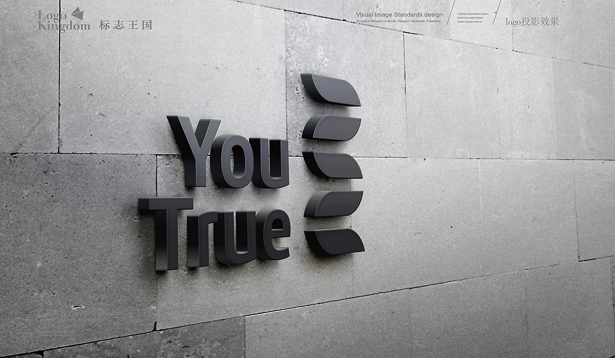 标志LOGO设计 排版 创作经验分享 #标志王国案例分享#（图ZMTk4NDE0NjA=） - Logo - 站酷设计师标志王国_logokd原创素材 - 站酷ZCOOL