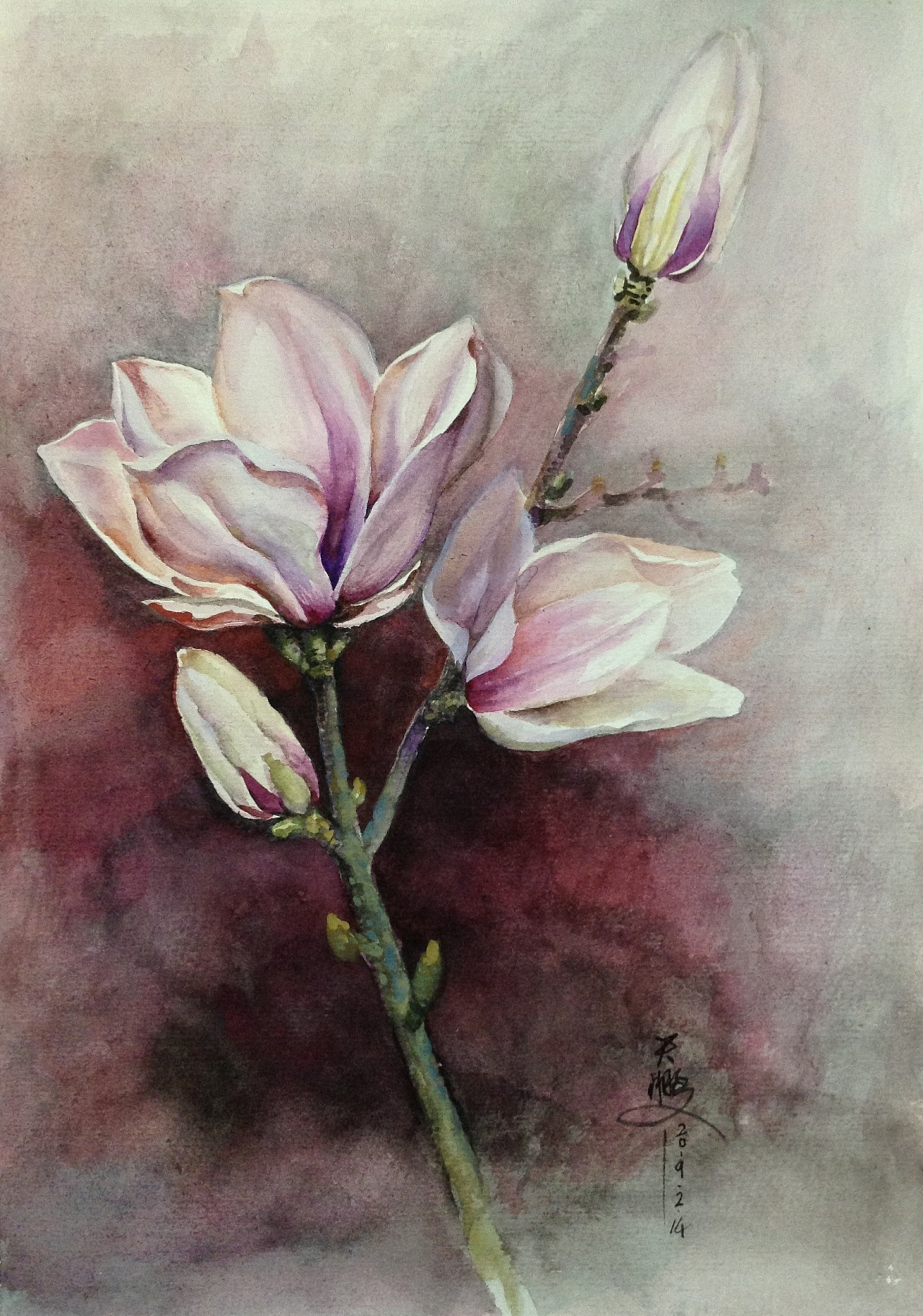 玉兰-水彩|纯艺术|绘画|天鹏z - 原创作品 - 站酷 (zcool)