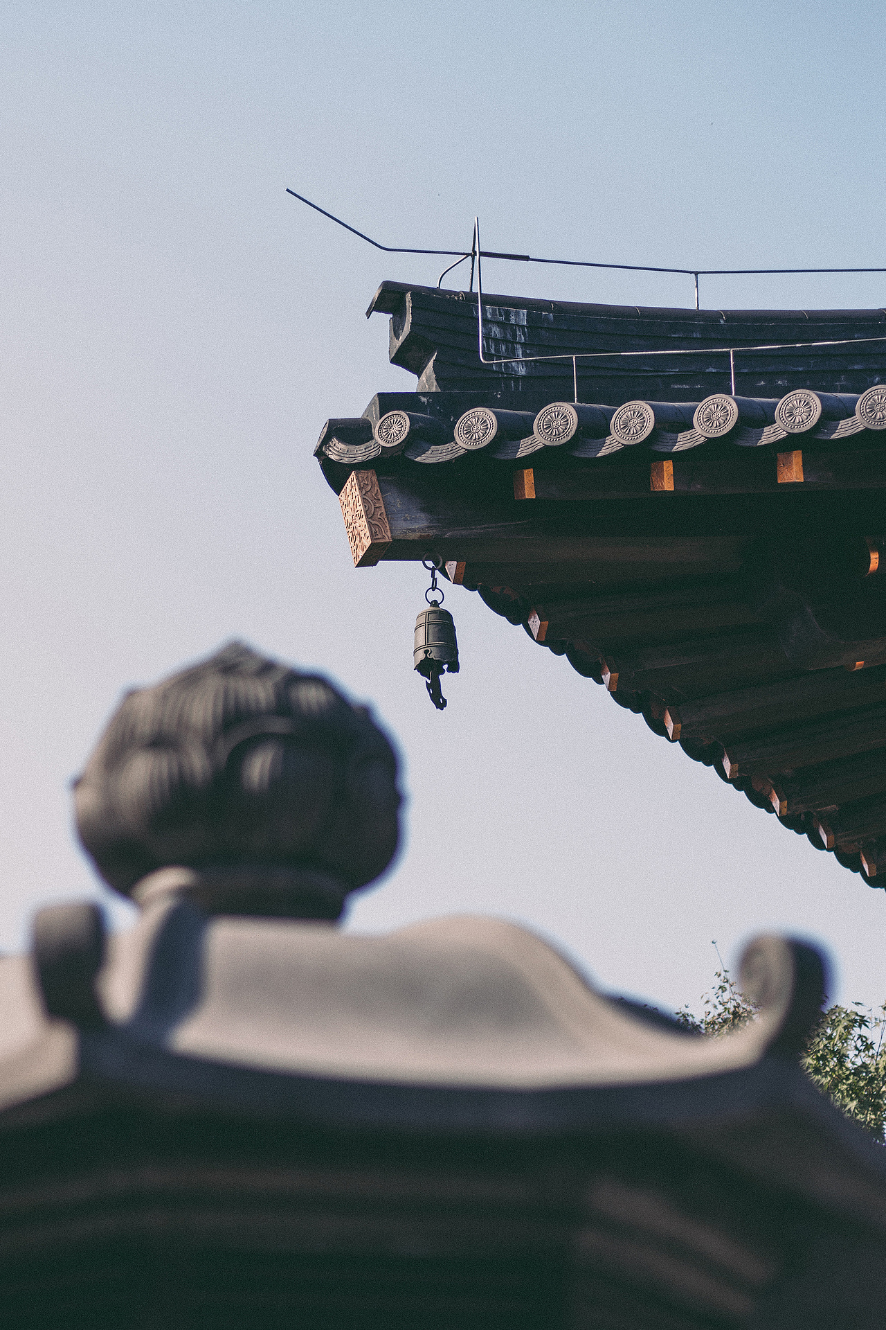 广富林古文化遗址