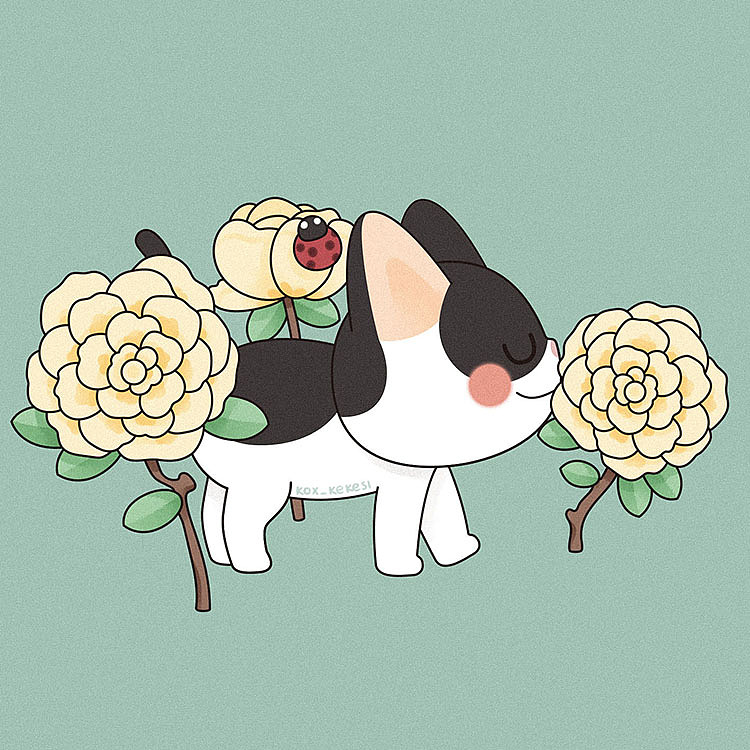 猫与花（图ZMjA2MzkyMDM2） - 商业插画 - 站酷设计师Kox豪烁郎原创素材 - 站酷ZCOOL