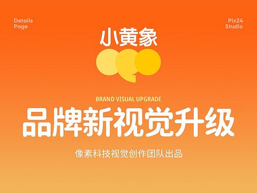 像素✖小黄象 电商品牌详情页新视觉升级