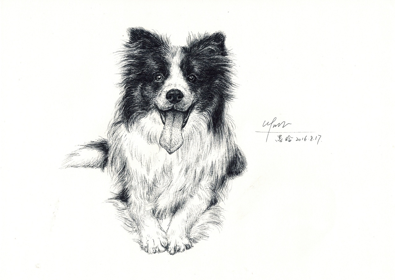 (绘画参考照片来自网络)前段时间马不停蹄创作了狗狗题材一系列画作