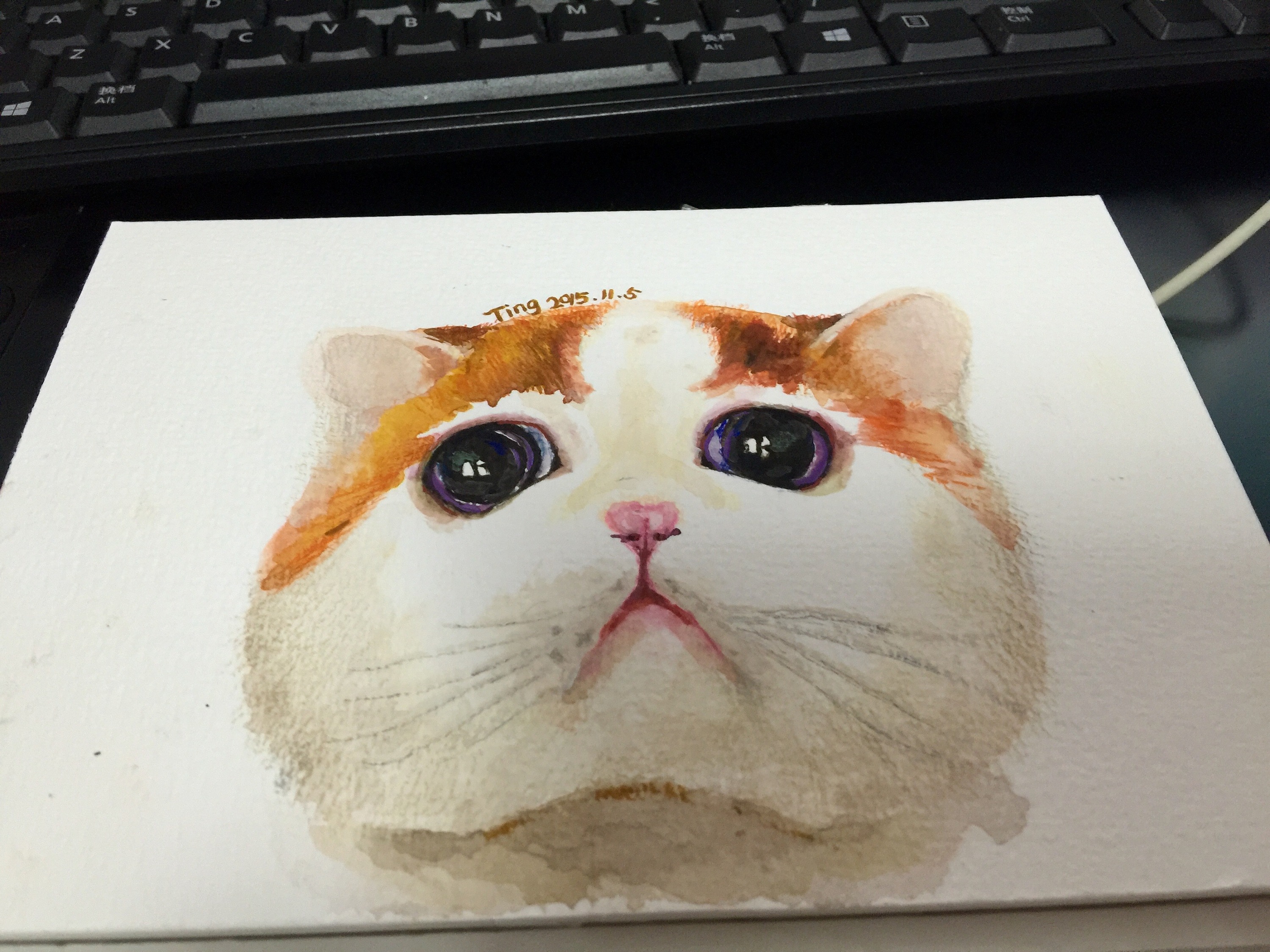 水彩猫咪|纯艺术|绘画|粉沫亭亭 - 原创作品 - 站酷 (zcool)