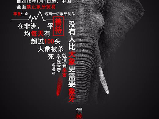 动物保护-象牙