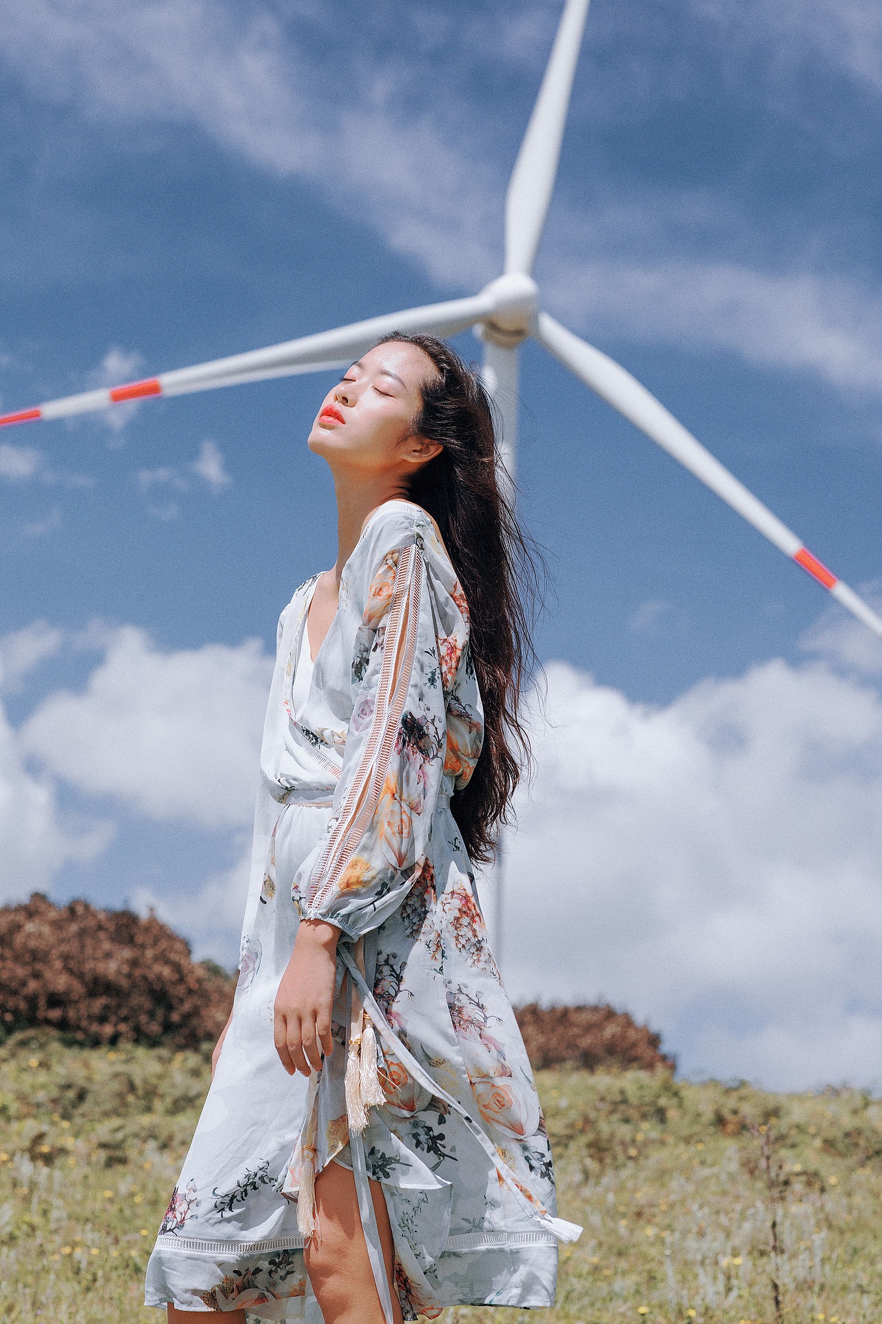 旋覆花盛开的山坡