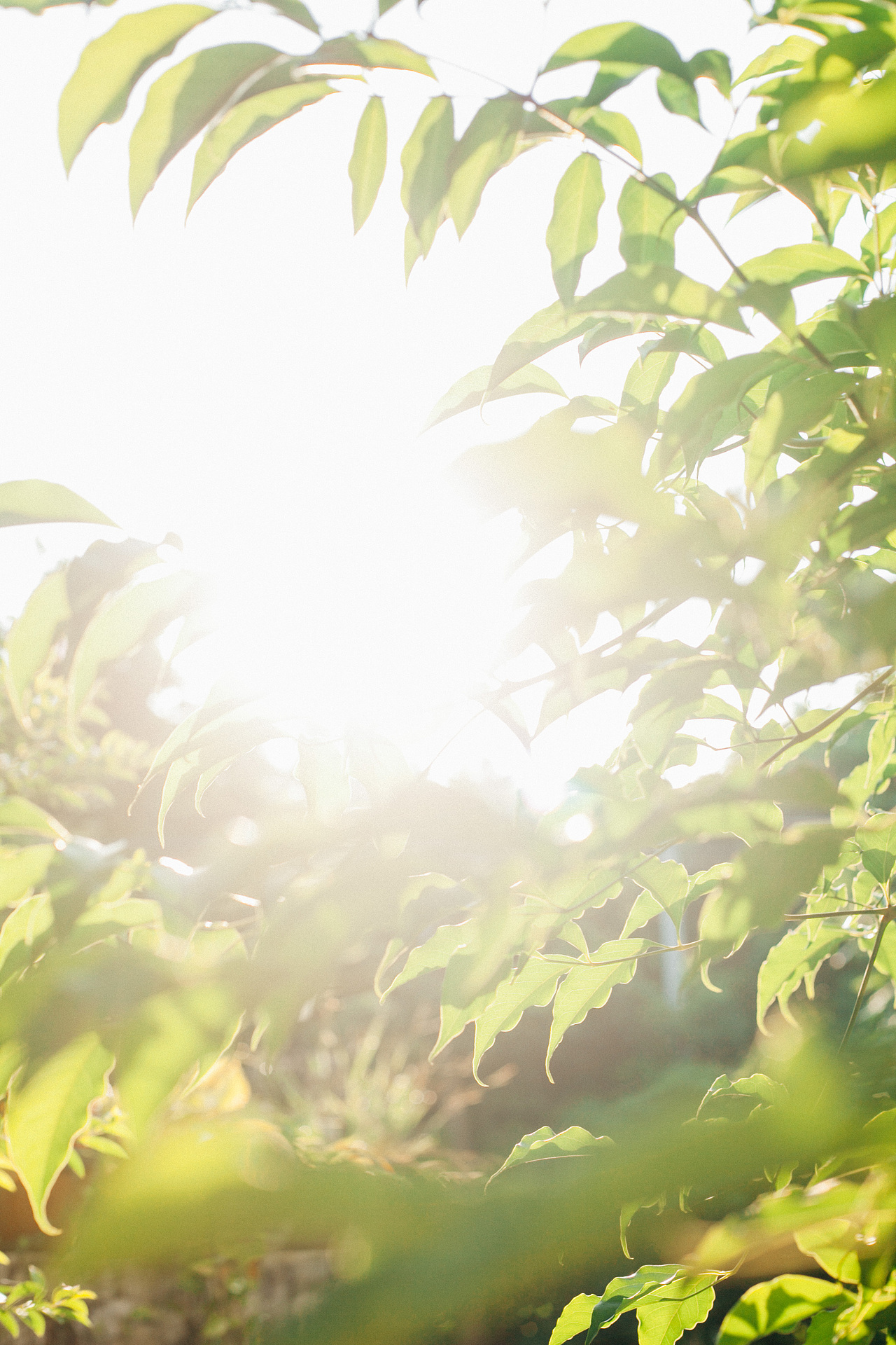 田园·农场·山野