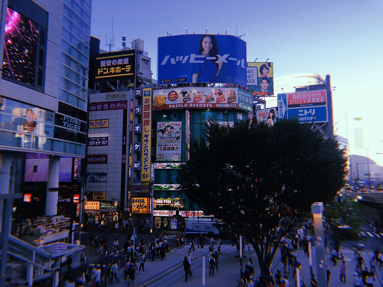 2018摄影纪录/  夏日街头