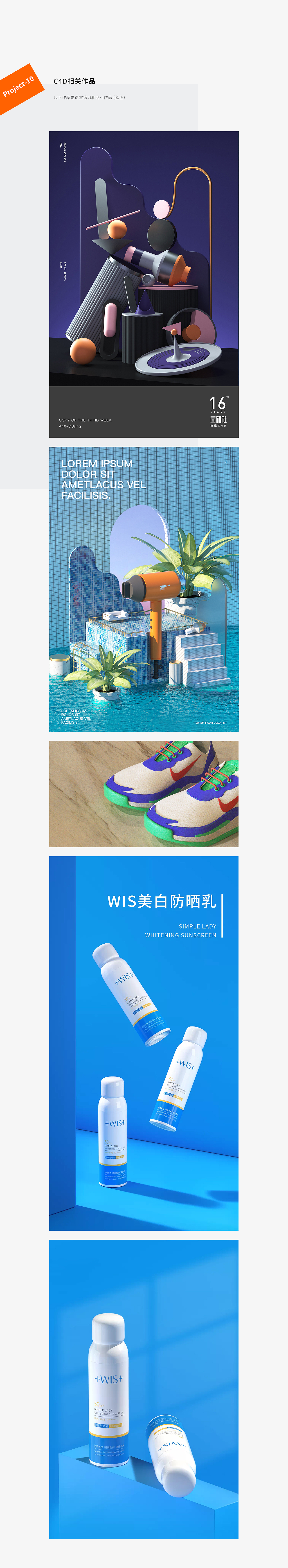 2020 | 年终总结 | WIS项目总结