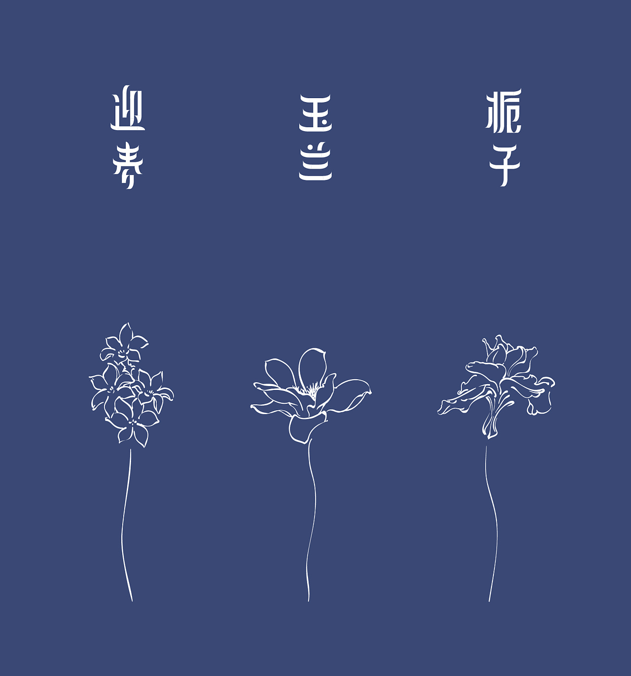 花体字，字体设计|纯艺术|书法|Hiuchichan - 原创作品 - 站酷 (ZCOOL)