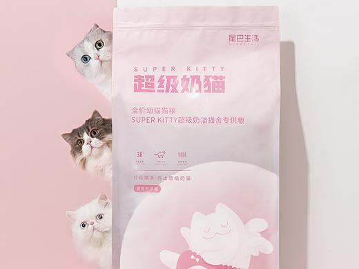 超级奶猫 | 猫粮拍摄