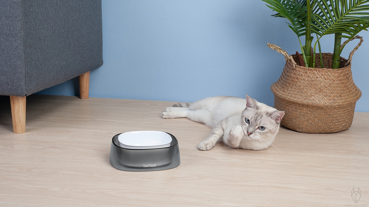 哈士奇设计作品 - 宠物防溢碗（图ZMjI1Njg1NTc2） - 玩具 - 站酷设计师广州哈士奇设计原创素材 - 站酷ZCOOL