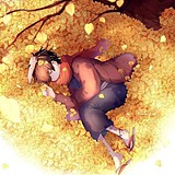 随心集设计师的头像