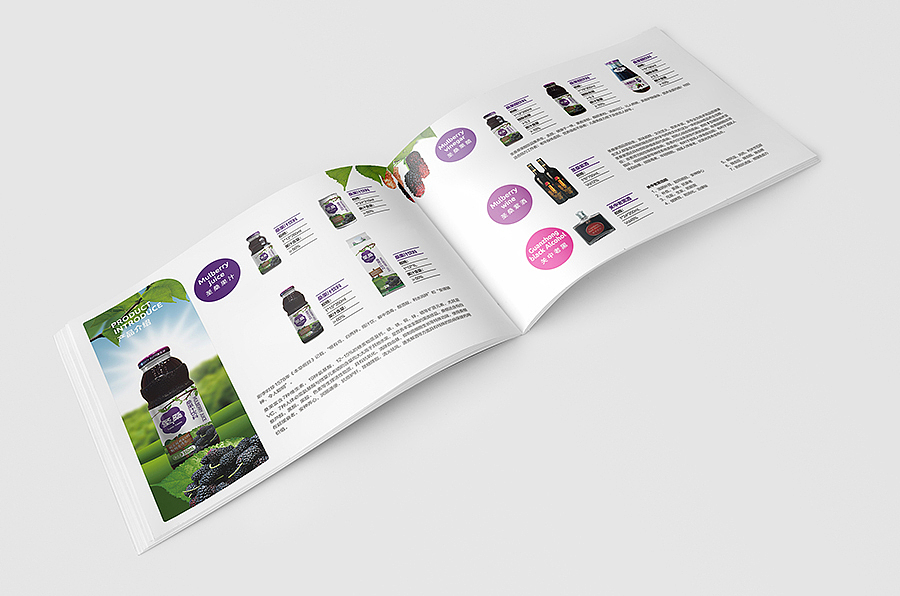 赛狮画册设计集合