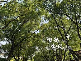 屁桃怪生活记录随意拍