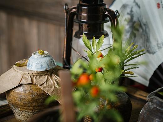 小寒 │ 雁有信