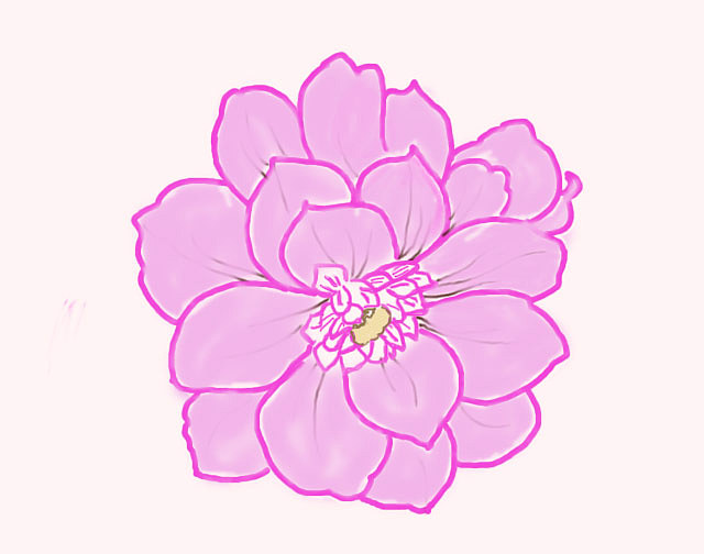 花朵变色